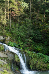 Mountain waterfall in the forest. Green nature. Lake water Kamianka in the Ukrainian Carpathians river Skole