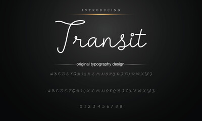 Hand drawn vector alphabet.signature script font. Elegant Signature Font. Best Alphabet Beautiful Calligraphy Signature Font lettering