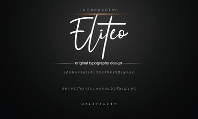 Hand drawn vector alphabet.signature script font. Elegant Signature Font. Best Alphabet Beautiful Calligraphy Signature Font lettering