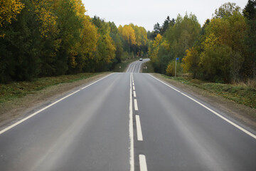 Empty Road through Autumn Forest with Vibrant Foliage and Curving Pathway