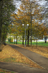 Obraz premium Autumn Park Path with Fallen Leaves and Trees in Bright Fall Colors