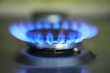 Close-up of a Blue Gas Stove Flame in a Kitchen for Energy and Cooking Concepts