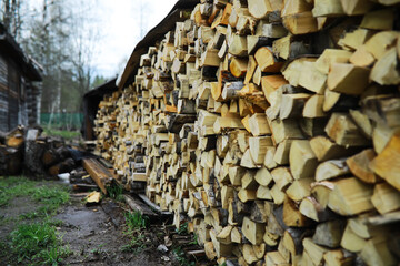 Stacked Firewood Outdoors Beside Wooden Cabin in Rural Forest Setting Against Overcast Sky