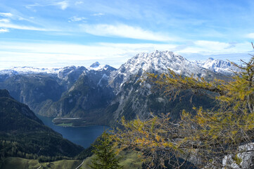 Jenner, Jenneraussichtsplattform, Ausblick
