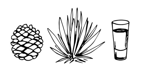 Hand drawn simple vector illustration with black outline. Agave bush, shot glass.  Production of tequila, mezcal. Alcoholic drinks. Sketch in ink.