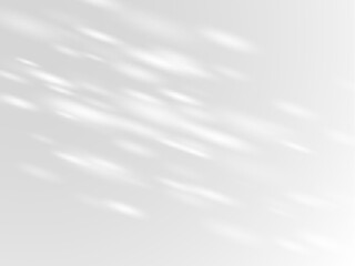 Obraz premium Shadow effect on white wall, sunbeams reflection, sun rays blur soft shade of natural lighting, leaves vector background