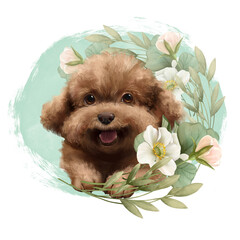 Cute poodle dog illustration. Hand drawn puppy and flowers.