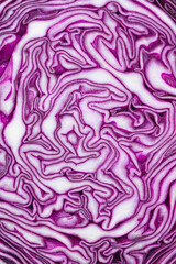Obraz premium Food Concepts. Extreme Closeup of Purple Cabbage Texture.