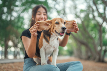 Happy asian woman playing with dog together in public park outdoors, Friendship between human and...