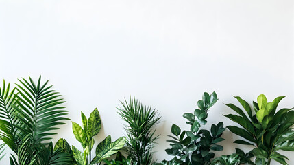 Obraz premium Lush Green Plants Arranged Against White Wall