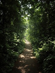 A narrow opening in the vegetation leading into a hidden path, adventure, narrow opening, overgrown, wilderness, hidden path