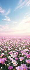 Fototapeta premium A panoramic view of a vast field of cosmos flowers in full bloom, scenery, cosmos