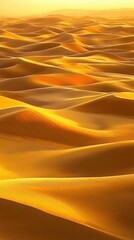Golden sand dunes in a desert at sunset.
