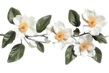 Obraz premium Branch with white blossoms and green leaves isolated. PNG transparent.