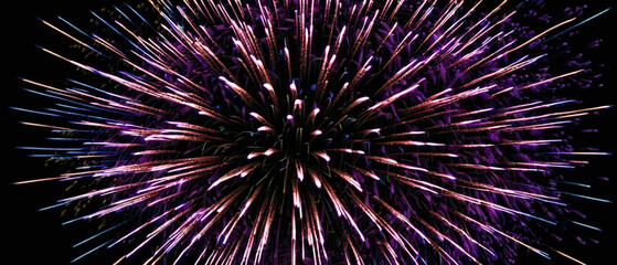 Vibrant fireworks illuminate the celebration against the dark backdrop.