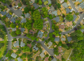 A neighborhood with houses and trees