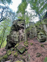 Huge rocks with moss and trees in the forest. Mullerthal region in Luxembourg