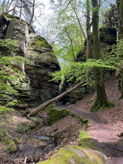 Path between rocks in the forest with a fallen tree trunk. Mullerthal region in Luxembourg