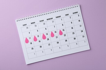 Menstruation. Calendar with marked dates on violet background, top view