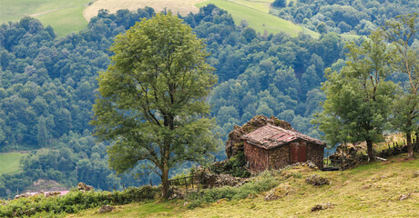 cabane de berger
