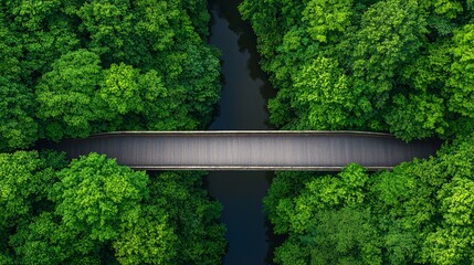 A serene aerial view of a wooden bridge crossing a lush green forest, surrounded by dense trees and a meandering river.