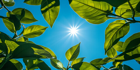Bright Sun Shining Through Green Leaves Creating Serene Atmosphere

