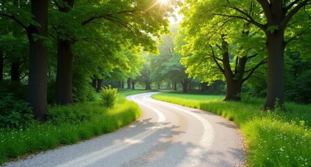 One white gravel path surrounded by summer trees, viewed at human eye level, showcasing a sunlit, peaceful scene with ultra-realistic quality.