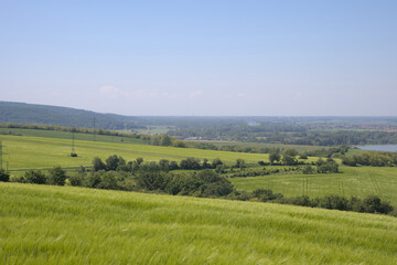 Fototapeta premium Rolling green fields with trees and distant hills under a bright blue sky, showcasing a tranquil countryside landscape