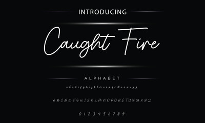 Hand drawn vector alphabet. Modern monoline signature script font. Elegant Signature Font. Best Alphabet Beautiful Calligraphy Signature Font lettering