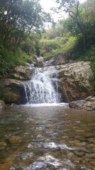 Fototapeta premium A small waterfall cascades down a rocky hillside, surrounded by lush greenery.