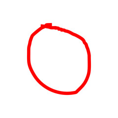 Circle Doodle hand drawn vector
