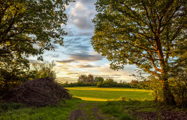 Fototapety na wymiar - Fototapeta24.pl