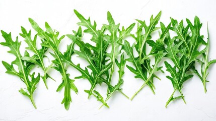 Fresh Green Rocket Leaves Arranged On White Background