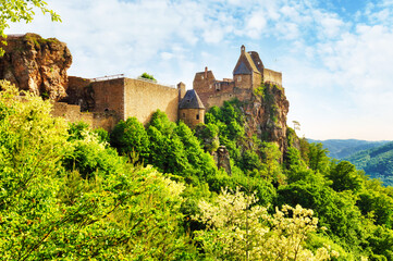 Obraz premium Wachau valley and Danube river. Aggstein medieval castle. Austrian landmark