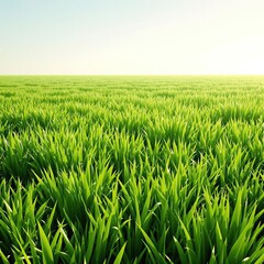 Fototapeta premium Lush green grass with visible blades and a slight sheen from being freshly cut, outdoor scene, nature