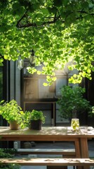 Fototapeta premium Serene Garden Scene with Sunlit Greenery and Fresh Herbs