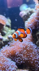 Vibrant clownfish swimming among colorful coral, showcasing the beauty of marine life in a stunning underwater environment.