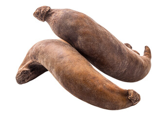 Obraz premium Tamarind. Isolated asset with transparent background.