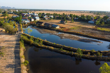 Fototapeta premium Rice fields and embankments are dry due to the dry season