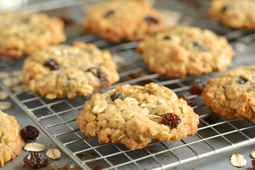Freshly baked oatmeal raisin cookies with golden brown hue on wire cooling rack