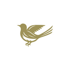 Fototapeta premium Bird Logo