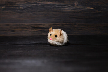 A toy mouse for a cat on a black background