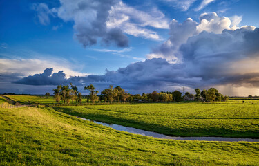 River stream in field