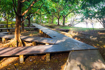 Obraz premium Park with wooden bridge and shady trees in the morning