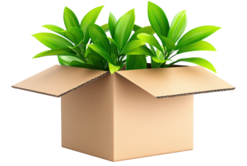 Plant in cardboard box transparent PNG isolated on white background.
