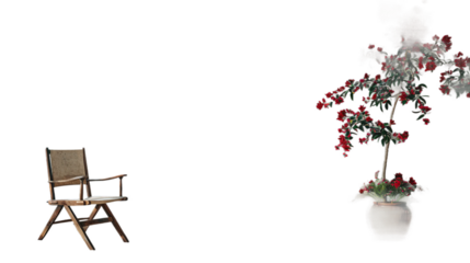 Wooden Folding Chair and Red Bougainvillea Plant Against White Background, cut out, PNG file