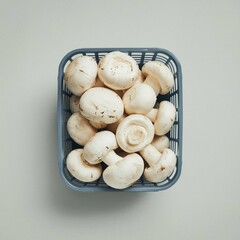 mushrooms in a basket