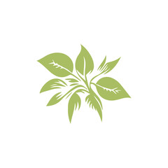 Obraz premium Green Leaf Logo Design