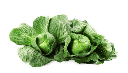 Obraz premium Two ripe heads of cabbages isolated on white