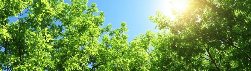 Fototapeta premium Lush green leaves basking in sunlight under a clear blue sky, evoking a sense of tranquility and natural beauty.